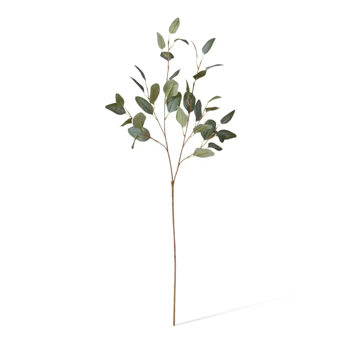 Eucalyptus Spray Stems | Pack of 12